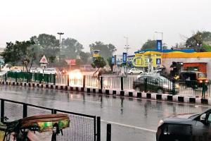 संगरूर : बरसात से बढ़ी ठंडक, गेहूं के लिए फायदेमंद