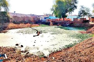 अबोहर : गांव शेरगढ़ बुनियादी सुविधाओं से 72 सालों से वंचित