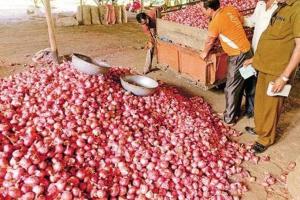 दिल्ली : प्याज का रेट 80 रुपए किलो हुआ, 7 दिन में 45% बढ़ोतरी