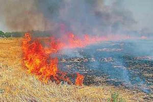 पराली जलाने वाले किसानों पर होगी कड़ी कानूनी कार्रवाई : डीएसपी