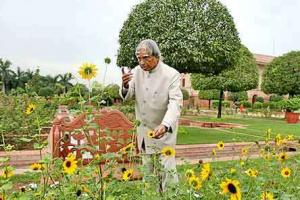 प्रेरणा स्रोत: प्रकृति से मिली प्रेरणा