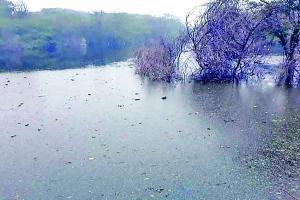 बठिंडा : लसाड़ा ड्रेन के पानी ने पथराला निवासियों की उड़ाई नींद