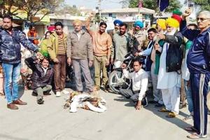 मानसा : सपनों पर फिरा पानी, 55 फीसद अंक से कम वाले नहीं बन सकेंगे अध्यापक