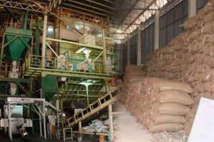 राइस मिलर फिजीकल वैरीफिकेशन : 81 करोड़ की गड़बड़ी का खुलासा