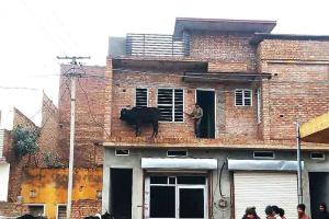 गोधा चढ़ा चौबारे पर, लोगों का लगा हजूम