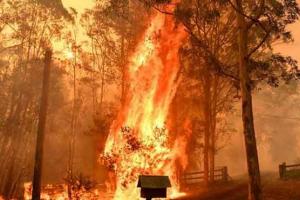 Australia fire : बारिश से बुझेगी ऑस्‍ट्रेलिया के जंगलों में लगी आग