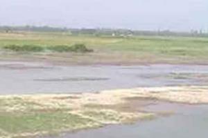 भूजल स्तर गिरने से हरियाणा ड्राईजोन में
