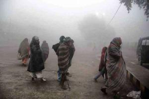 घने कोहरे से सड़क यातायात प्रभावित