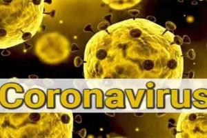 Coronavirus : केरल में 153 नए संदिग्ध मरीज मिले