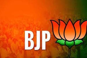 सोची-समझी रणनीति के तहत हुई दिल्ली की हिंसा : भाजपा