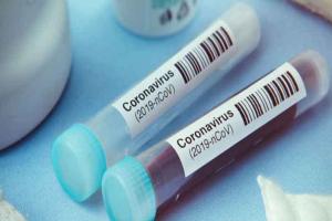 हरियाणा में कोरोना संक्रमण के कुल मामले पहुंचे 227 पर पहुंची