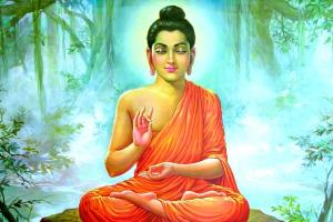 महात्मा बुद्ध का अहिंसा और मैत्री का संदेश मानवता के लिये अमूल्य निधि: योगी