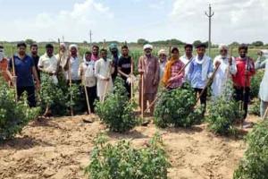 डेरा अनुयायियों ने की कोलायत दरबार में सेवा