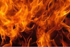 दो ट्रक में आग लगने से दो घायल