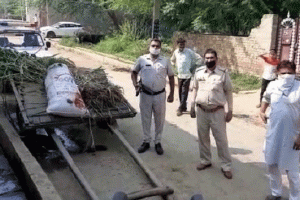 खेत से चारा लेकर लौट रहे युवक की गोली मारकर हत्या