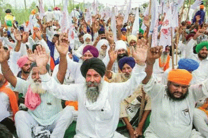 बिचौलियों के लिये नुकसानदायक है कृषि बिल