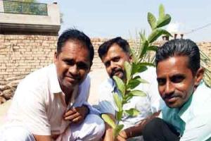 महापरोपकार दिवस पर किया पौधारोपण