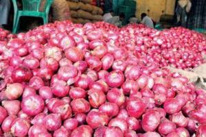 पवार ने की प्याज की नीति को लेकर केंद्र की निंदा