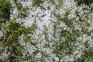 प्रदेश भाजपा की ओलावृष्टि प्रभावित किसानों को मुआवजे की मांग