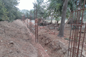 जानवर के नहीं इंसान के थे कंकाल, जांच में खुलासा