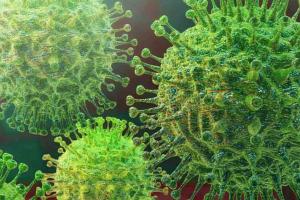 कोरोना संक्रमण का बढ़ता फैलाव, 553 नए केस मिले