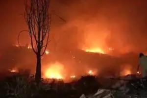 ब्रिटिश कोलंबिया: जंगल में लगी आग, आपातकाल की हुई घोषणा