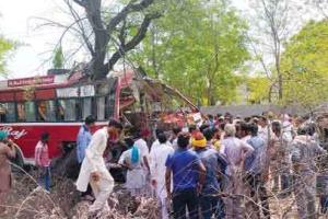 पेड़ से टकराई बस, एक की मौत, दर्जन भर घायल
