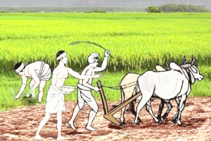 किसान : Poem