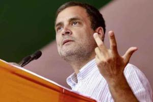 रोजगार नहीं तो विकास का कोई मतलब नहीं : राहुल