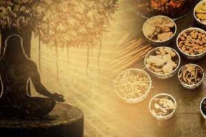 आयुर्वेद दिवस पर एक नवंबर को राष्ट्रीय सेमिनार का आयोजन