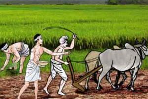 कृषि संकट का समाधान जरूरी