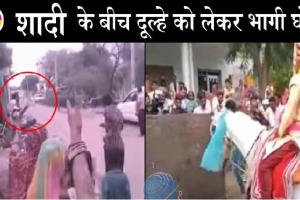 अजब-गजब: घोड़ी पर सवार दूल्हे के पास फोड़ दिया पटाखा, फिर घोड़ी दुल्हे को लेकर हो गई फरार