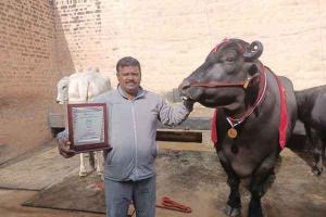 गतौली के रूस्तम ने जीता कृषक रत्न अवार्ड