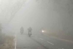 मौसम ने ली करवट, बढ़ी ठंड, दिनभर नहीं हुए सूर्य के दर्शन