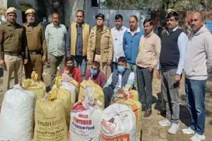 झज्जर में 30 लाख के गांजे सहित तीन आरोपी गिरफ्तार