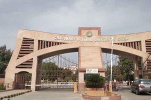 सीडीएलयू में 92 पीएचडी की सीटों पर 20 फरवरी को होगी परीक्षा