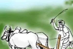 कविता : किसान का बेटा हूँ…