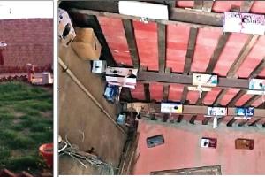 शिक्षाविद बनवारी लाल का प्रयास लाया रंग, गूंजने लगी चिड़ियों की चहचहाहट