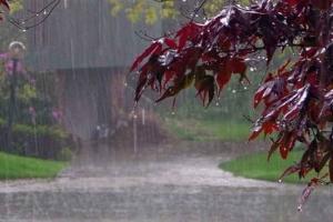 पश्चिमोत्तर में 12 जून तक लू व भीषण गर्मी से राहत के आसार