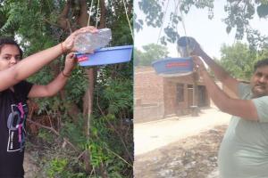 कनीना के सेवादारों ने पक्षियों के लिए रखे दाना-पानी के सकोरे