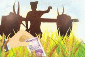 फसलों का बीमा 31 जुलाई तक