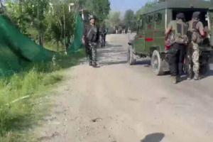 सुरक्षा बलों ने पुलवामा में 30 किलो ग्राम का किया आईईडी बरामद