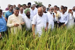 गुरुकुल पैटर्न पर मथुरा व बुंदेलखंड में बनेंगे प्राकृतिक खेती के मॉडल
