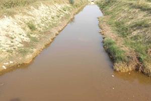 किसान बोले: इस बार रबी की बिजाई होगी बेहद अच्छी