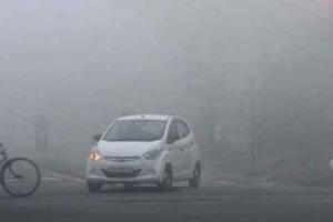 धुंध में विशेष सावधानी बरतें वाहन चालक: एसपी