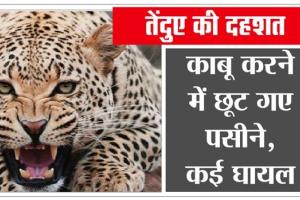 जानें, क्या हुआ जब किचन में परिवार को बैठा मिला खूंखार तेंदुआ