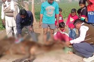 …किस बड़ी घटना का है इंतजार?