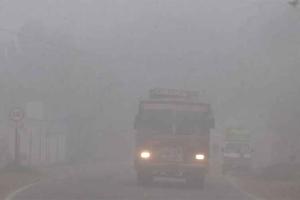 घना कोहरा तथा हाड़ कंपाने वाली सर्दी से जनजीवन प्रभावित