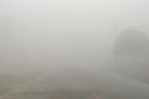  रबी की फसल के लिए फायदेमंद है सर्द मौसम