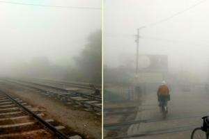 सीजन की पहली धुंध से जनजीवन अस्त-व्यस्त